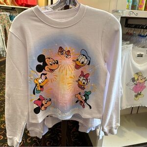 Disney Sweatshirt NWT